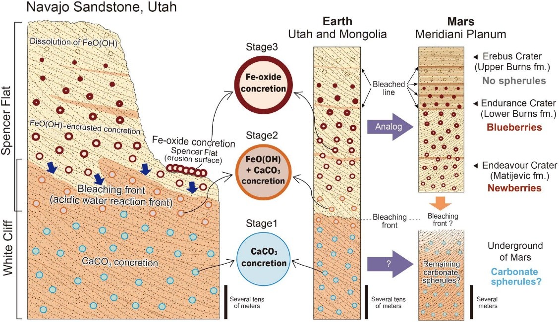 Fig.2.jpg