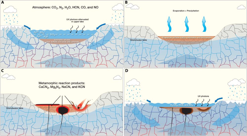 Fig.2s.jpg