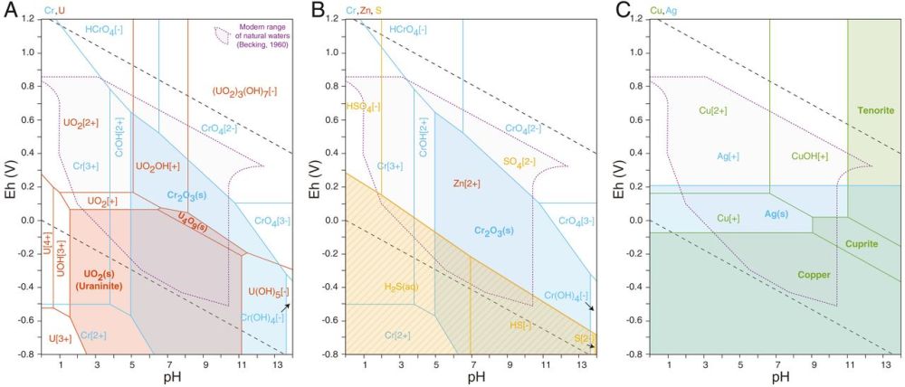 Fig.5s.jpg