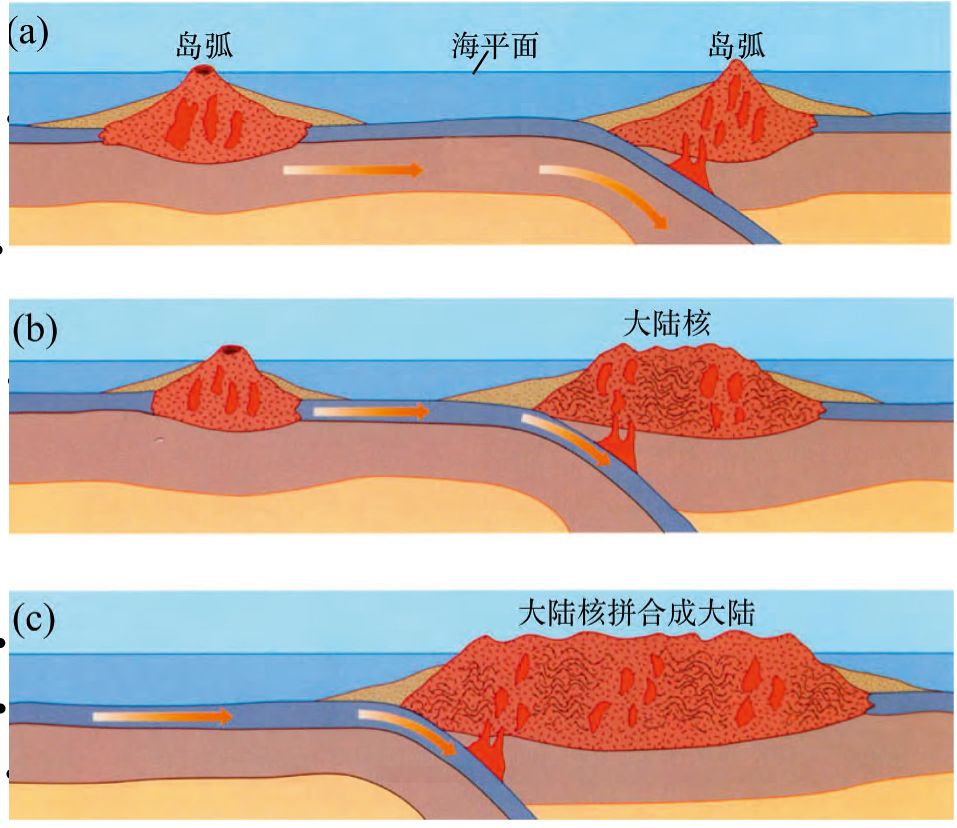 Fig.5s.jpg