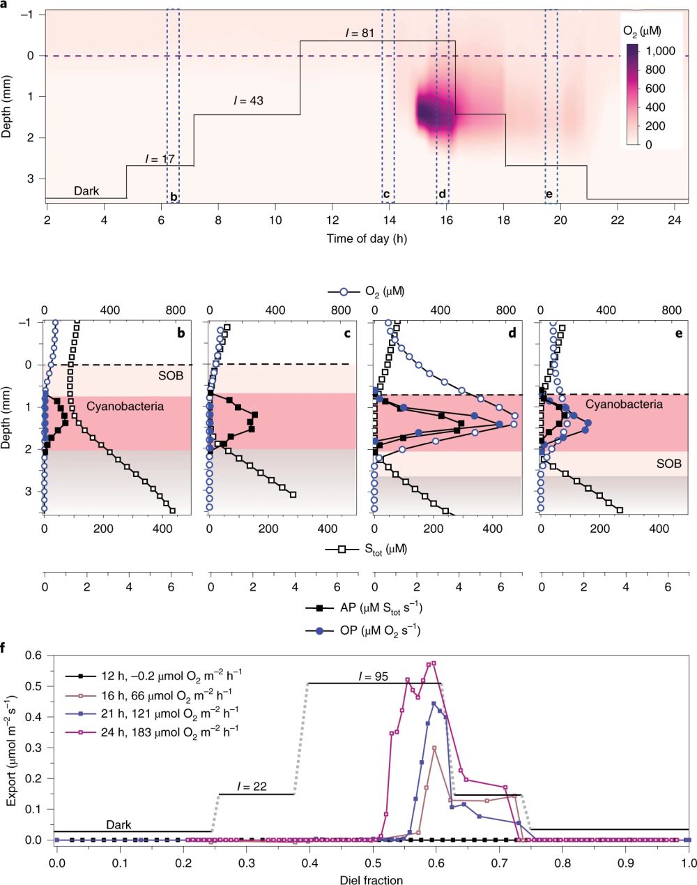 Fig.4s.jpg