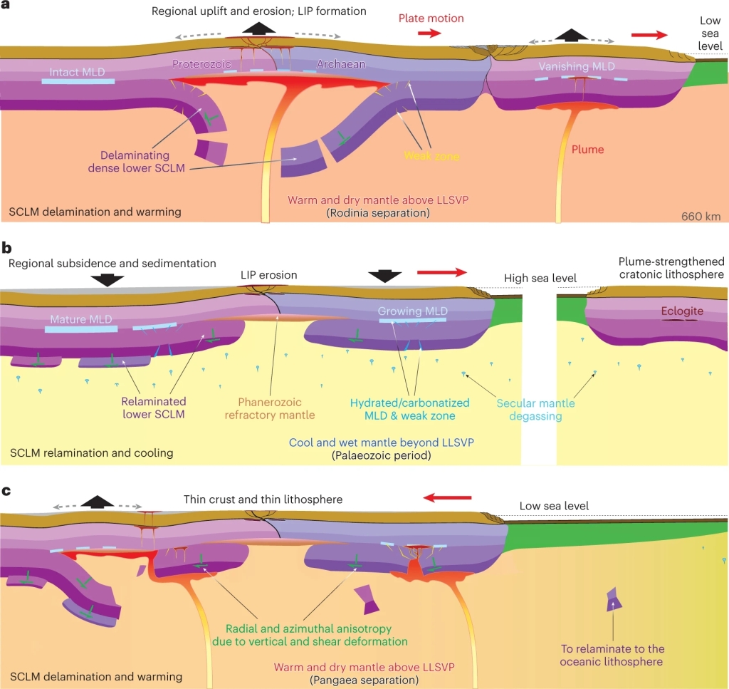 Fig.2.jpg