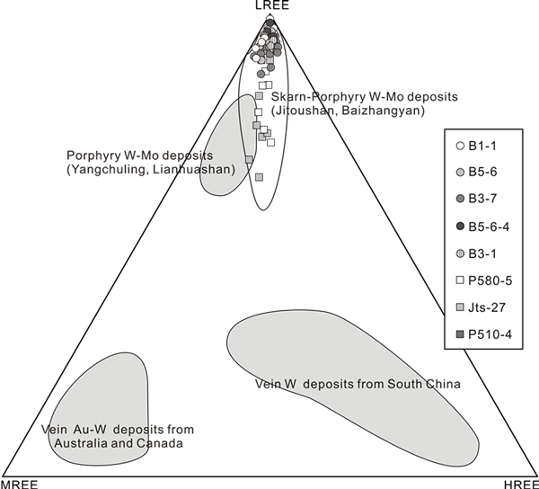 RG + AM:白钨矿矿物学研究及其对矽卡岩-斑岩