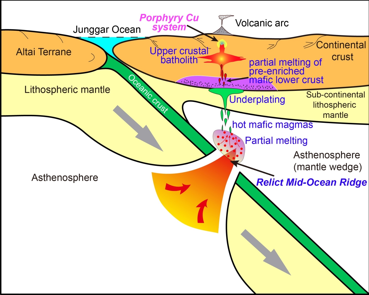 Fig.2s.jpg
