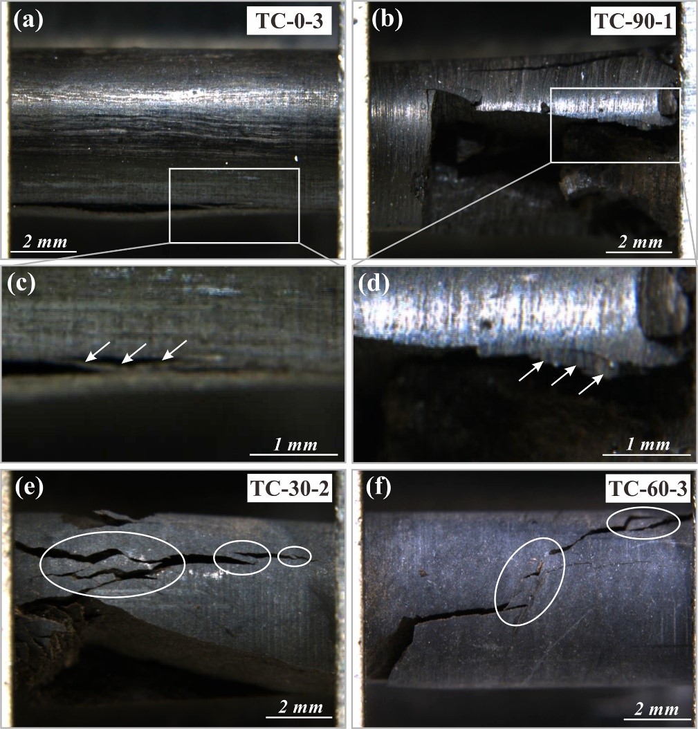 Fig.4.jpg