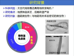 成果三：趋磁微生物起源于太古代