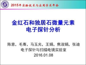 陈意　　金红石和独居石微量元素的电子探针分析