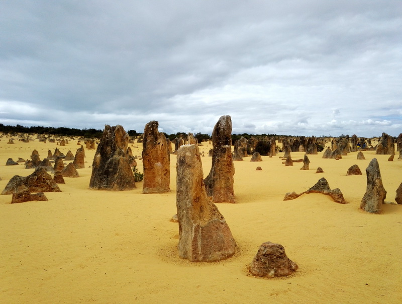 澳大利亚西海岸Pinnacle的海蚀地貌.jpg