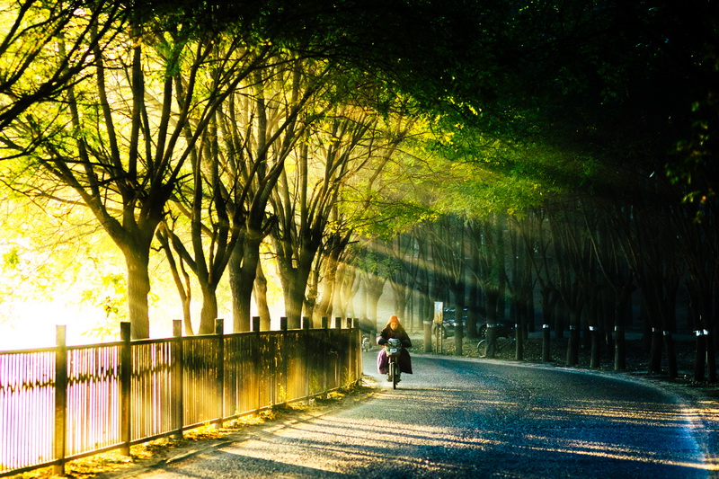 图7 地质地球所-北京雾之路-张尉.jpg