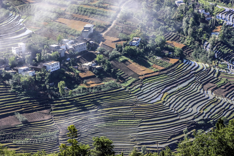 雾梯田.jpg